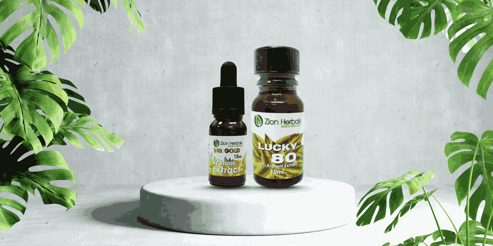 Honest Zion Herbals Review: What To Know Before You Buy (2025)